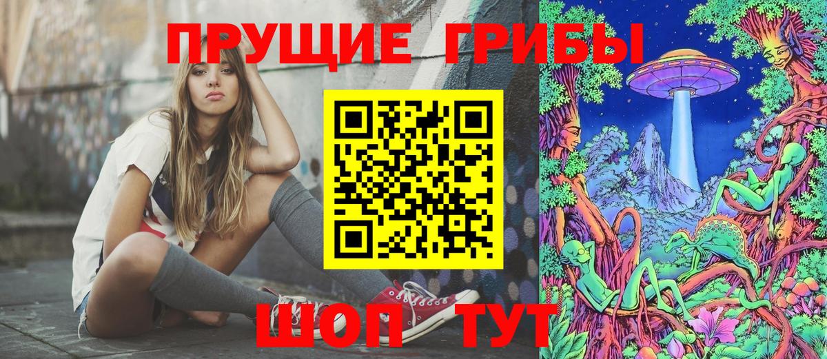 Псилоцибиновые грибы Psilocybe Клинцы